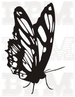 /album/fotogaleria-hmyz/hmyz-9-jpg/